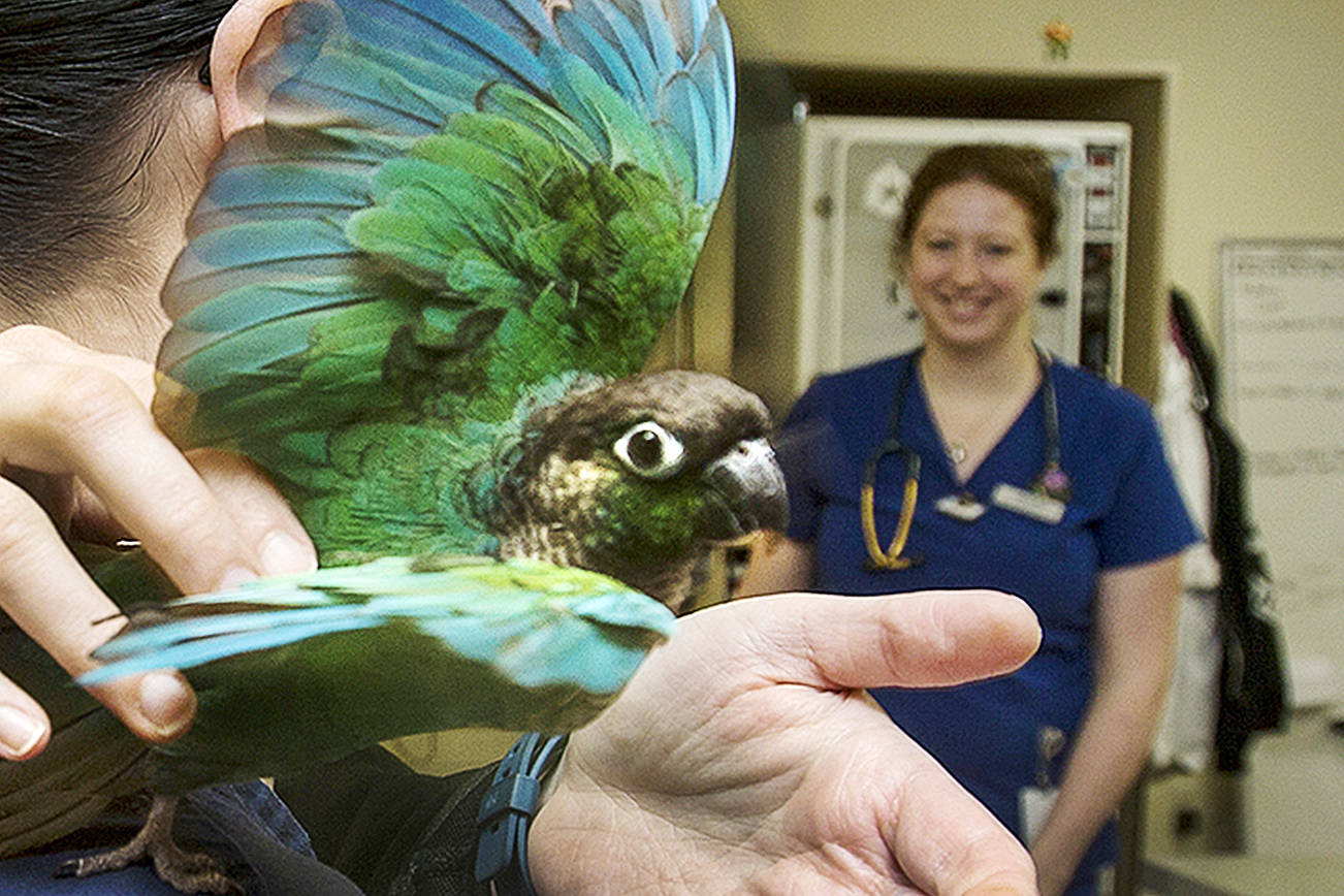 Exotic animals find compassionate care in Bothell (video)