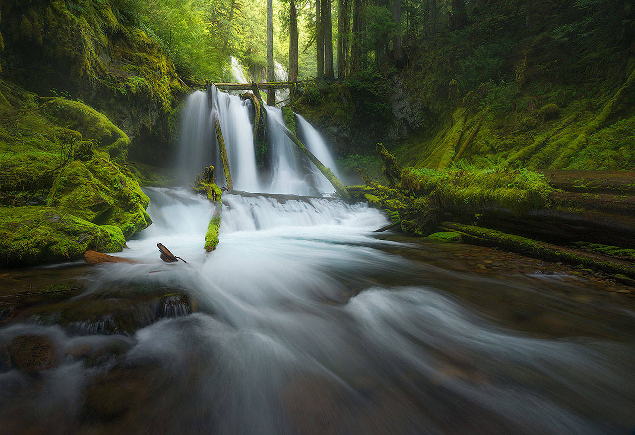 Grand prize: This photo of Panther Creek Falls by Matt Meisenheimer was the overall contest winner.