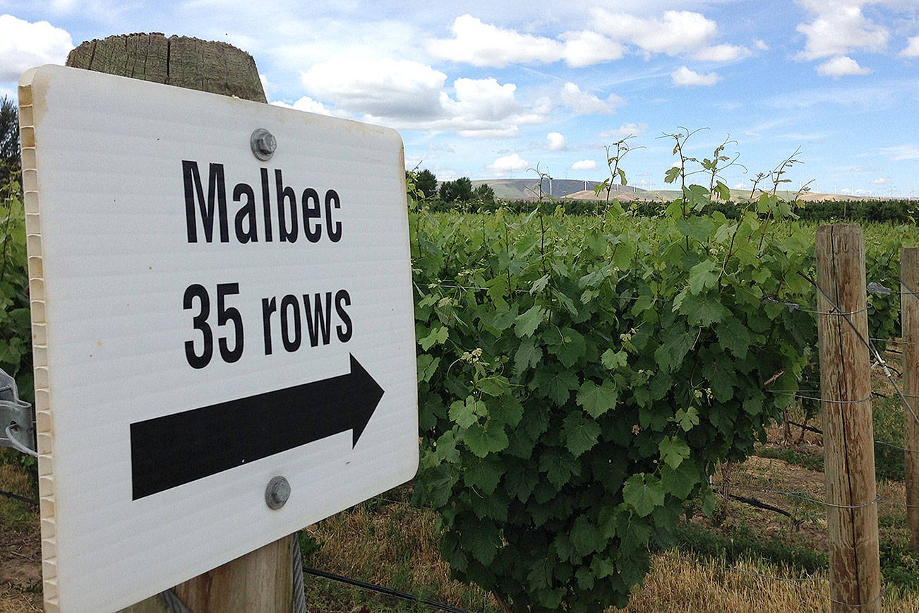 Malbec is now the No. 5 grape in the Walla Walla Valley