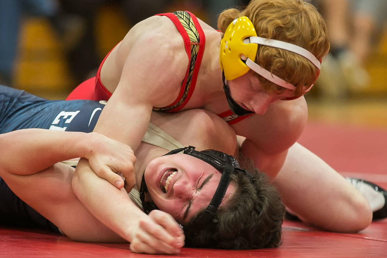 Marysville-Pichuck’s Devin Fahlman, top, works to pin Arlington’s Colby Wammock Thursday night at Marysville-Pichuck High School in Marysville January 25, 2018. The Tomahawks won 59-11 to claim the 3A Wesco Championship. (Kevin Clark / The Daily Herald)