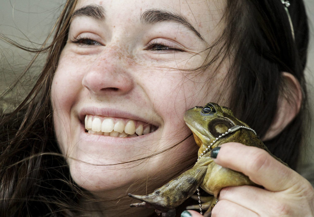 Snohomish’s Princess Amphibiana, Ellie Baxter, gets a kiss from Snohomish Slew, a bullfrog, at Snohomish’s 13th Annual Groundfrog Day celebration on Saturday. (Ian Terry / The Herald)
