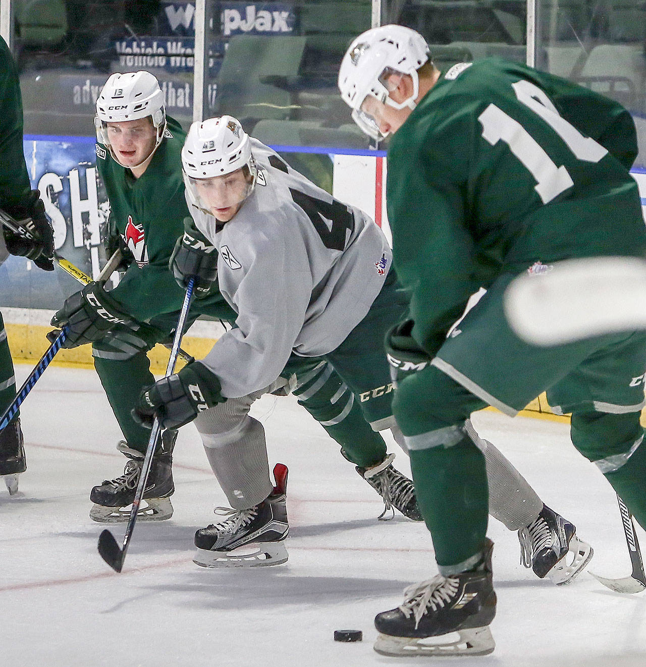 Everett’s Connor Dewar (center) and Mark Liwiski (left) pursue Conrad Mitchell and the puck during the Silvertips’ annual Green/Grey exhibition game on Aug. 17, 2017 in Everett. (Kevin Clark / The Herald)