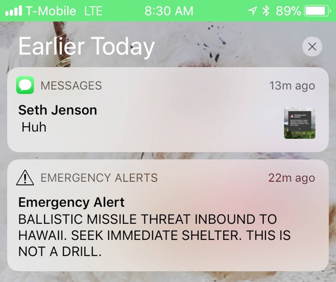 This smartphone screen capture shows a false incoming ballistic missile emergency alert sent from the Hawaii Emergency Management Agency system on Jan. 13. (AP Photo/Marco Garcia)