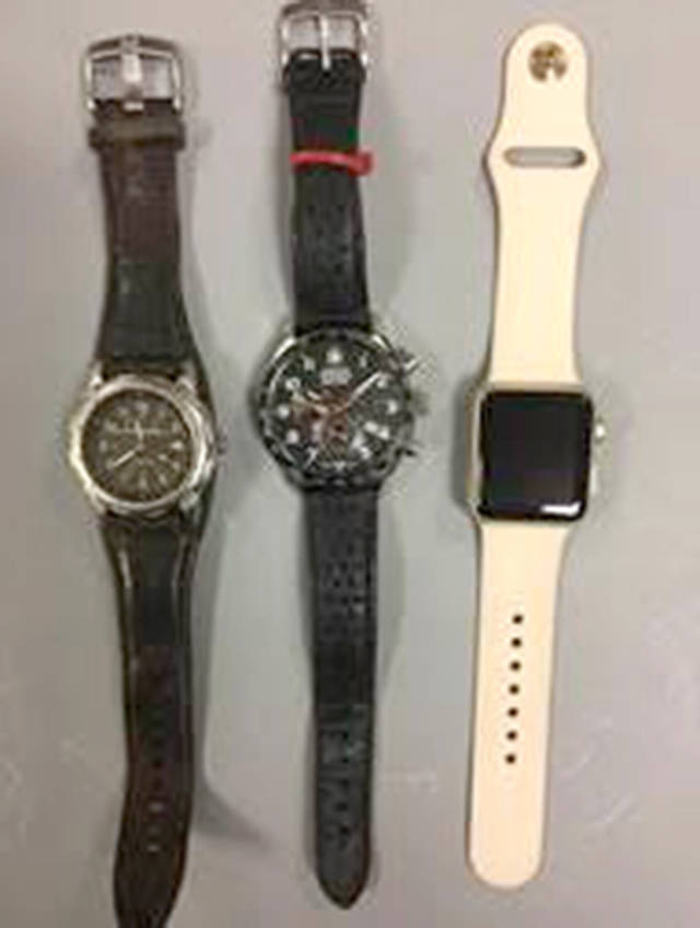 Police believe this jewelry was stolen. (Washington State Patrol)