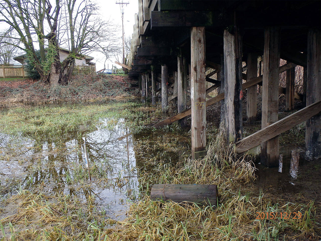 Riley Slough floods in wintertime, as shown in this photo from December 2015. Over time, those soggy conditions have undermined the timber supports of the bridge on Tualco Road. Snohomish County plans to replace the bridge. The work will likely require moving a driveway to a rental house, shown in the background. (Contributed photo)