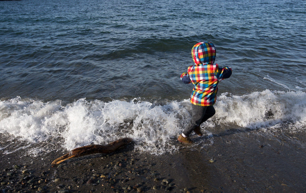 After getting his shoes soaked, Anthony Naczelnik, 3, of Edmonds, runs from the waves before hundreds of people jump into Puget Sound. (Andy Bronson / The Herald)
