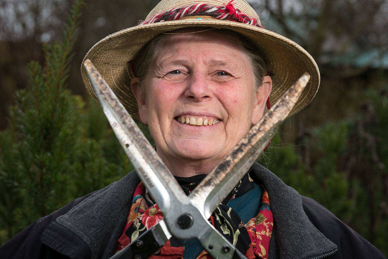 EagleSong-Gardener, gardner and herbalist, will be a seminar speaker at the upcoming Northwest Flower and Garden Festival in Seattle in Feb. 7-11. (Kevin Clark / The Herald)