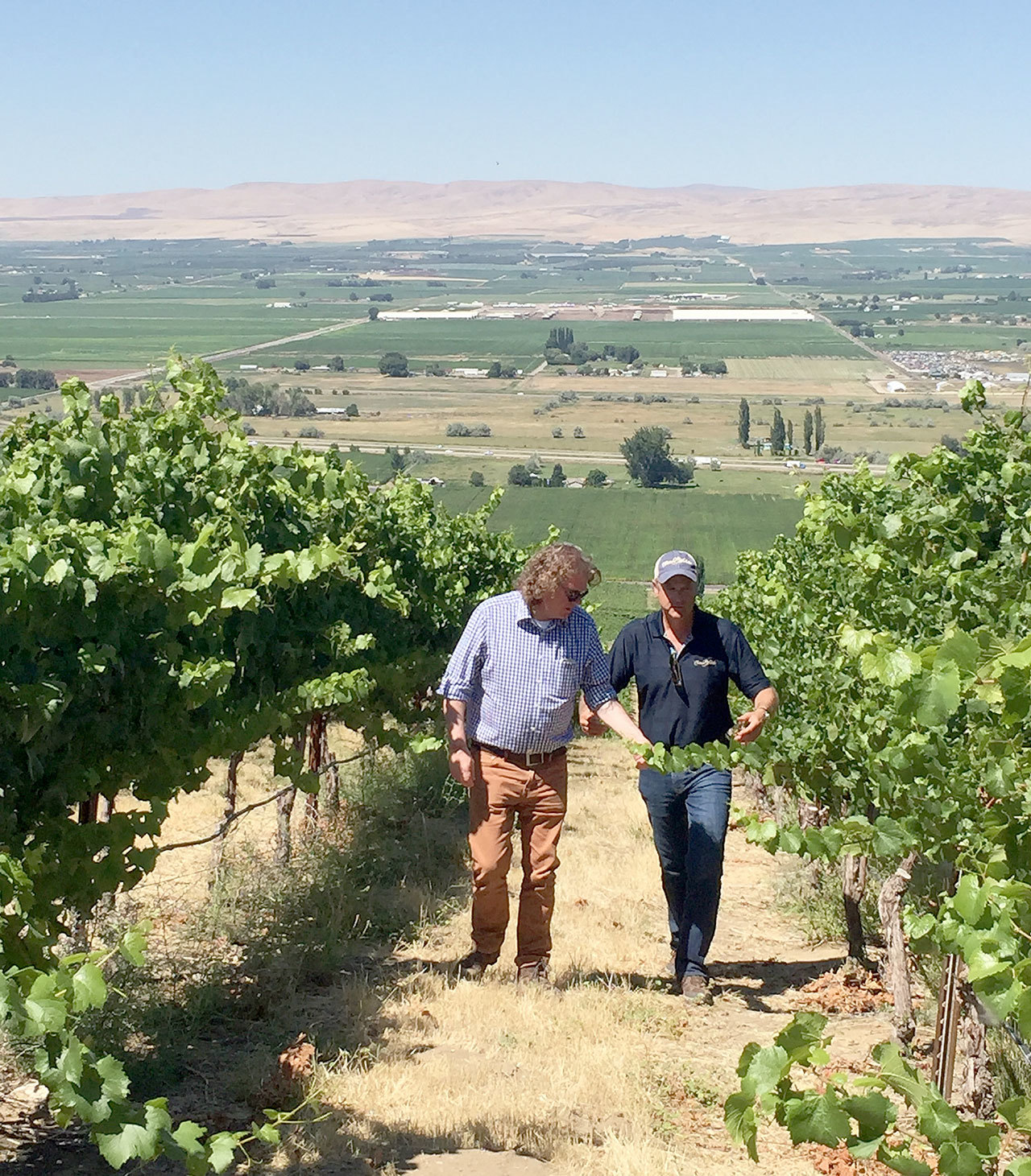 Chateau Ste. Michelle winemaker Bob Bertheau, right, and German winemaker Ernst Loosen walk through a vineyard above the Yakima Valley this summer. The two work together to craft Eroica, a Riesling made from Washington grapes. (Photo by Andy Perdue/Great Northwest Wine)
