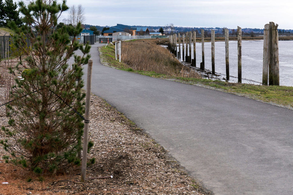 The Ebey Waterfront trail in the city of Marysville is part of two major trail expansion and connection projects, one on the popular waterfront trail and another connecting Bayview to the Centennial Trail near 84th St/Marysville Getchell High School. (Kevin Clark / The Daily Herald)
