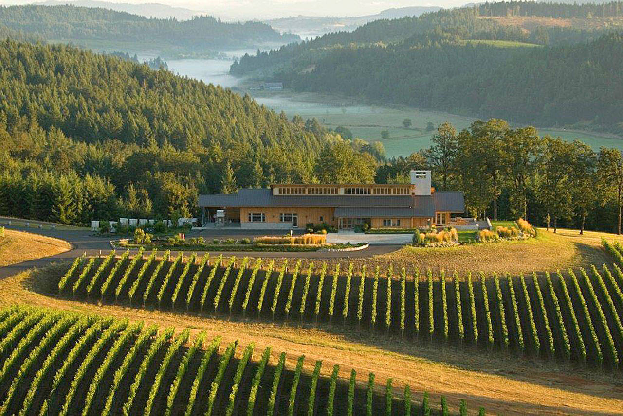 The Penner-Ash Estate Vineyard near Newberg, Oregon, is the easternmost planting in the Yamhill-Carlton American Viticultural Area. (Photo courtesy of Jackson Family Wines)