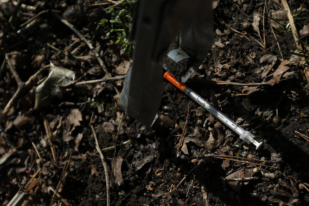 A needle is picked up by a volunteer helping to clean Wiggums Hollow Park in Everett on Saturday. (Ian Terry / The Herald)
