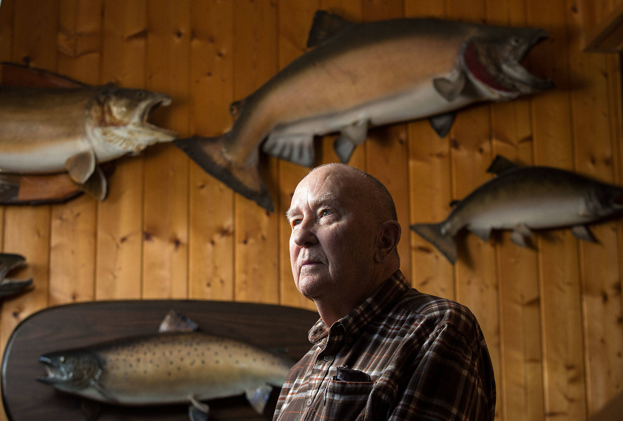 Wayne Kruse stands with fishing trophies at his home on Lake Cavanaugh on Tuesday, March 6, 2018, in Mount Vernon, Wa. Kruse, who has be writing outdoors stories for The Everett Herald since 1976, is retiring. “Is this the best job in the world?” he has been asked over the years. His answer, “Yes, it is.” (Andy Bronson / The Herald)