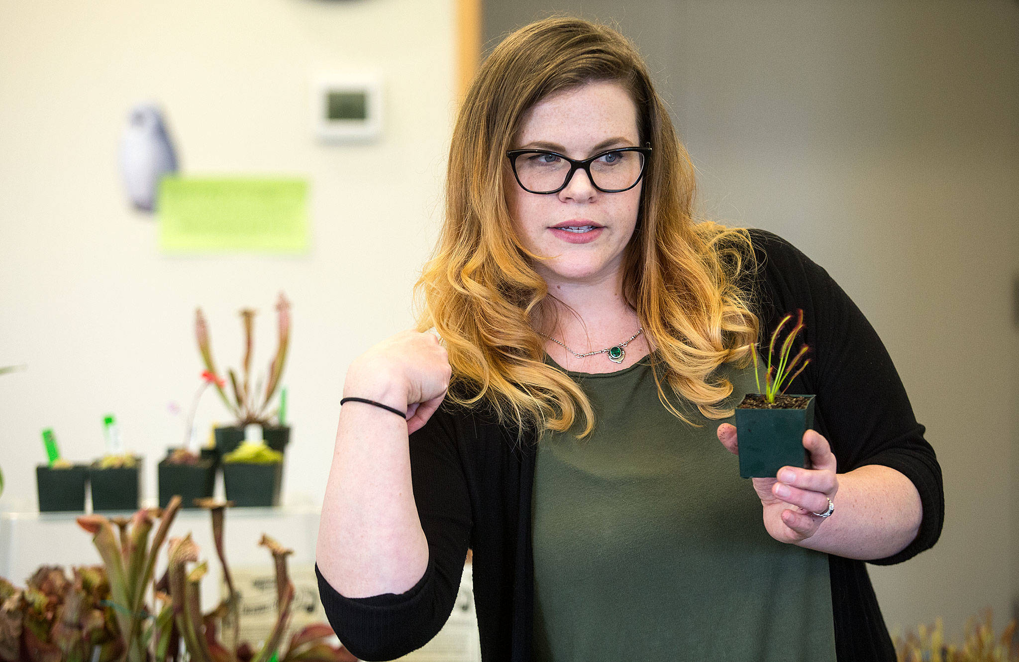 Mary Fosse explains how the carnivorous Sundew plant curls up like an arm lifting weights, to show how it eats while showing how to make a terrarium for the Sundew at the Darrington Library on Tuesday, March 27, 2018 in Darrington, Wa. (Andy Bronson / The Herald)