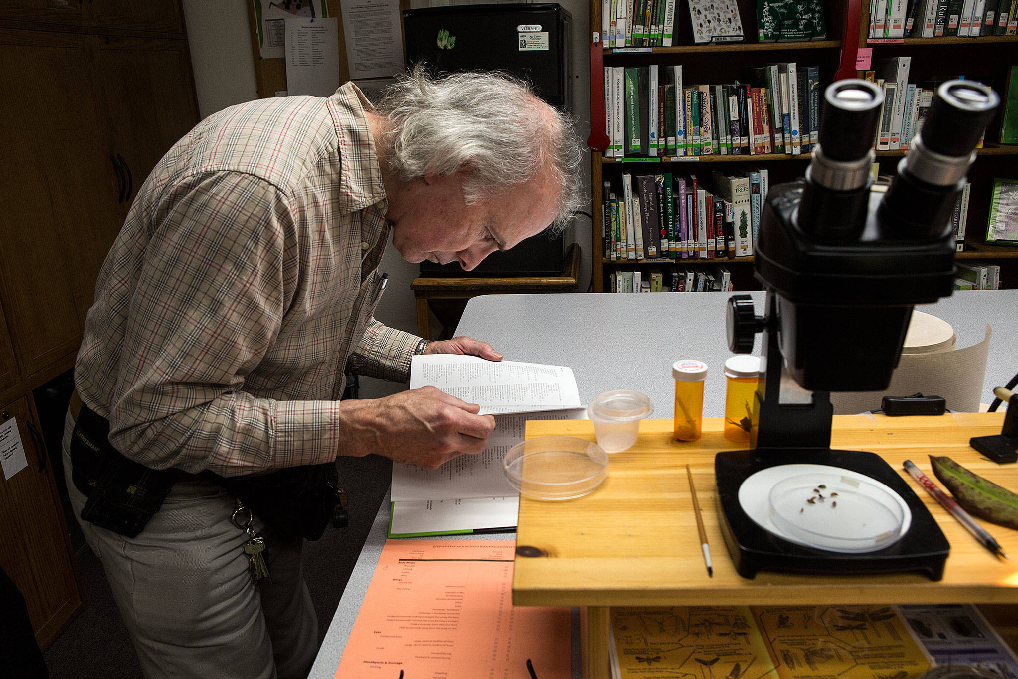 Dave Pehling looks though a book to identify a fly, seen under the microscope, at the WSU Extension Office in Everett’s McCollum Park. A zoologist, Pehling helps answer plant and pest questions for gardeners at the office’s drop-in clinic. (Andy Bronson / The Herald)
