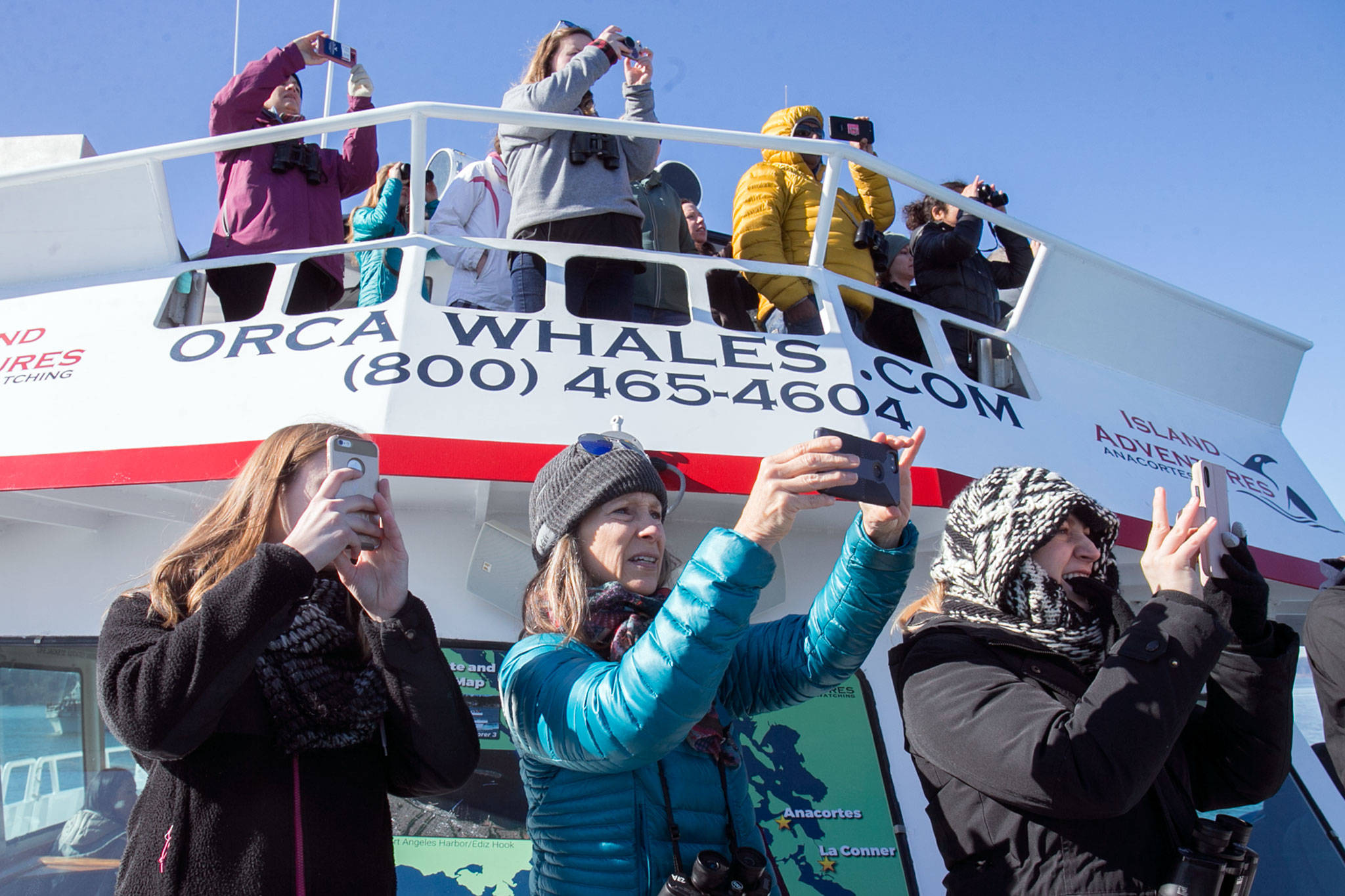 Whale watchers take pictures and video of gray whales during a tour on Possession Sound. (Kevin Clark / The Daily Herald)
