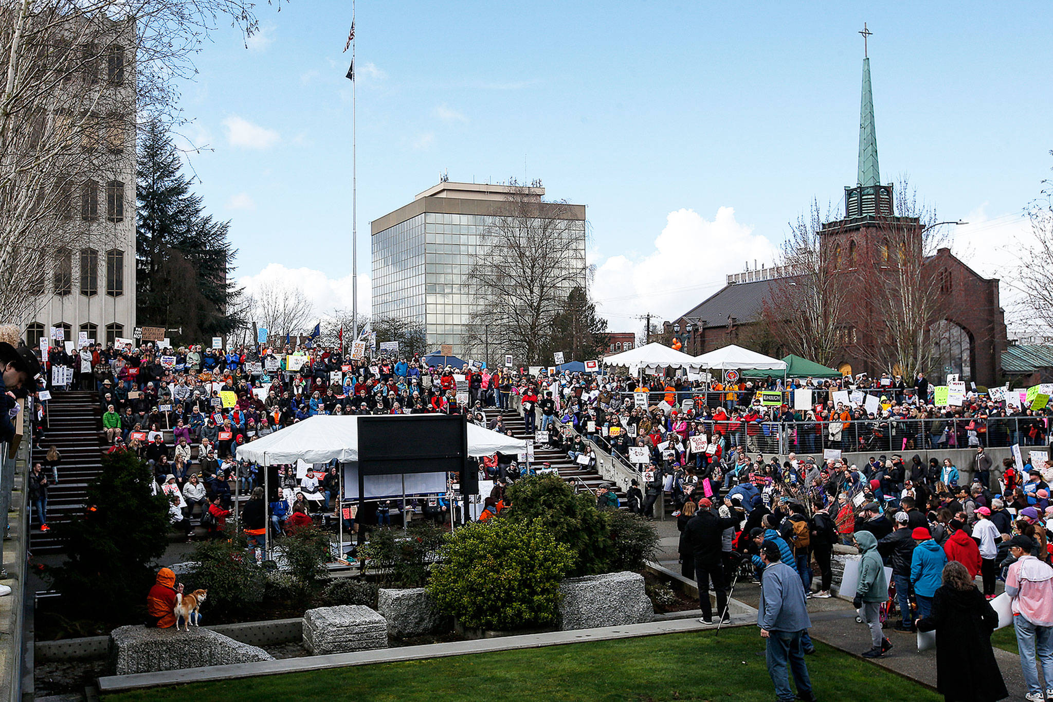 Thousands of people gather outside the Snohomish County courthouse in downtown Everett for a March for Our Lives rally on Saturday. (Ian Terry / The Herald)