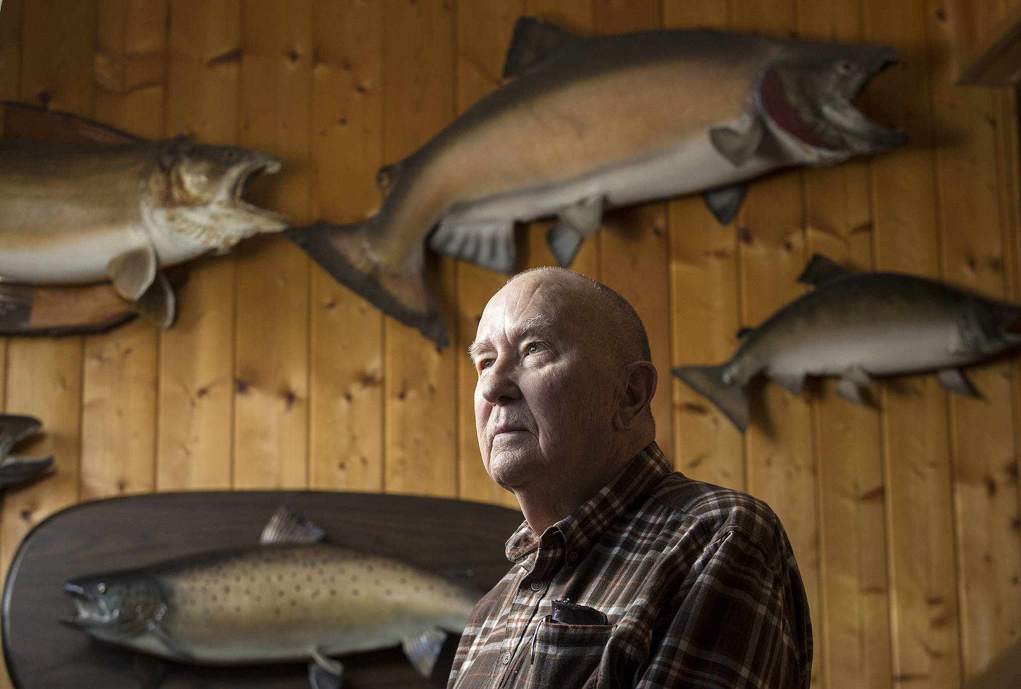 Wayne Kruse stands with fishing trophies at his home on Lake Cavanaugh on March 6 in Mount Vernon. Kruse, who has been writing outdoors stories for The Everett Herald since 1976, is retiring. (Andy Bronson / The Herald)