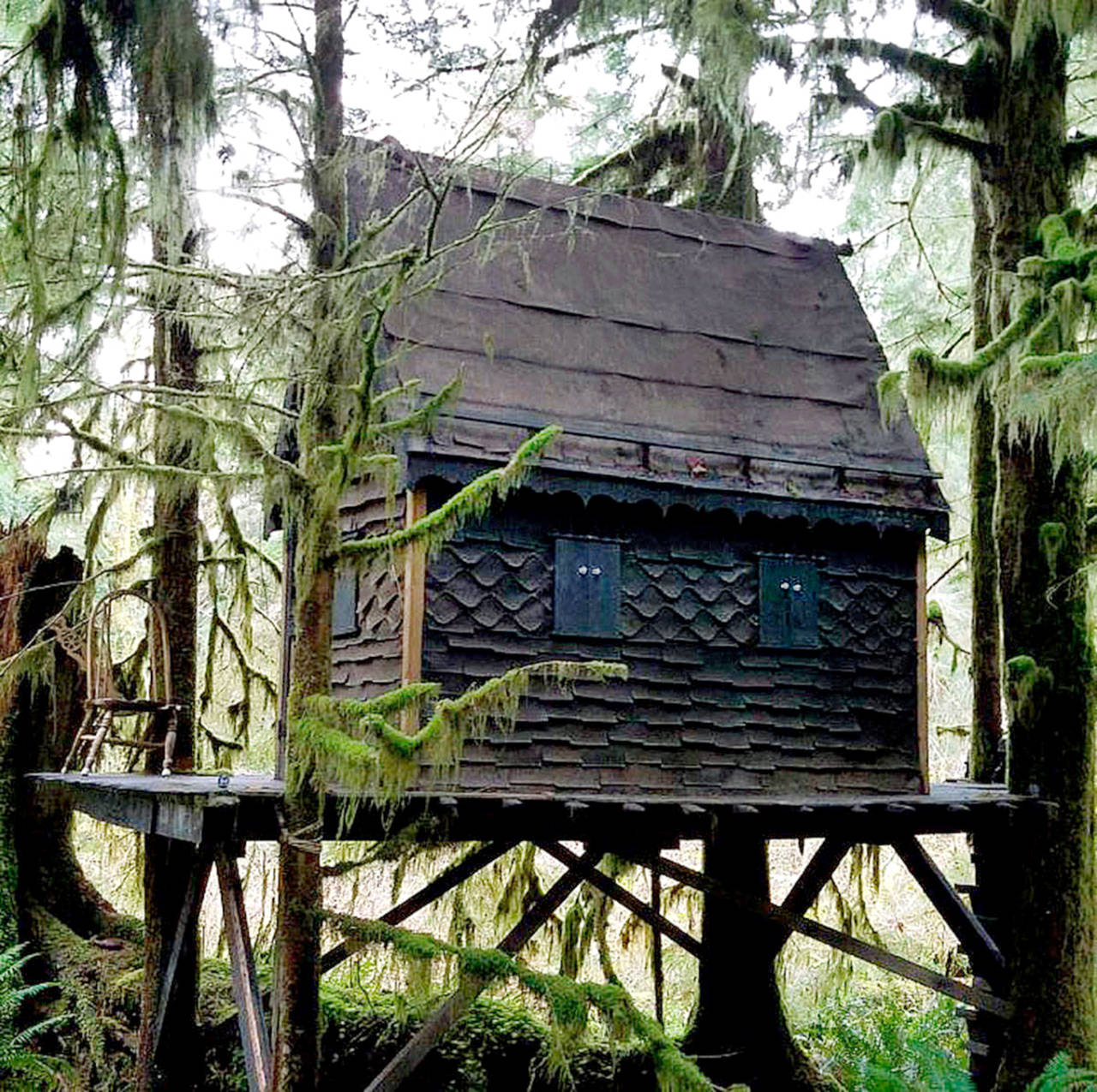 A gingerbread-style treehouse has reportedly been in the Snoqualmie National Forest for at least seven years. It contained child pornography when found by a state employee in Nov. 2016, according to court documents. (King County Sheriff’s Office)