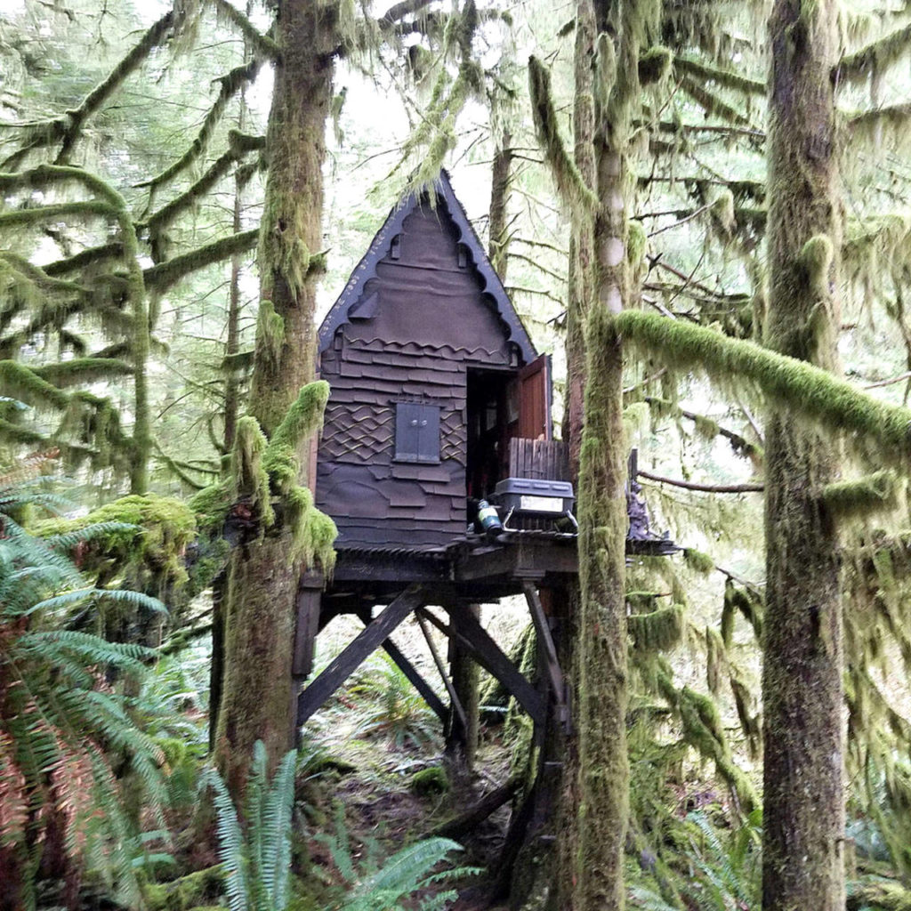 The cabin is located 8 miles up SE Middle Fork Road and is known within the hiking community. (King County Sheriff’s Office)
