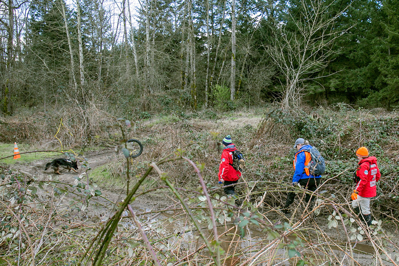 Led by a dog named Glacier, (from left) Trina Eddy, Wendy Bowlin and Angela Jurdon search the woods Sunday afternoon on the Tulalip Reservation. They were looking for clues to the disappearance of Jacob Hilkin, who has been missing since Jan. 23. (Kevin Clark / The Daily Herald)