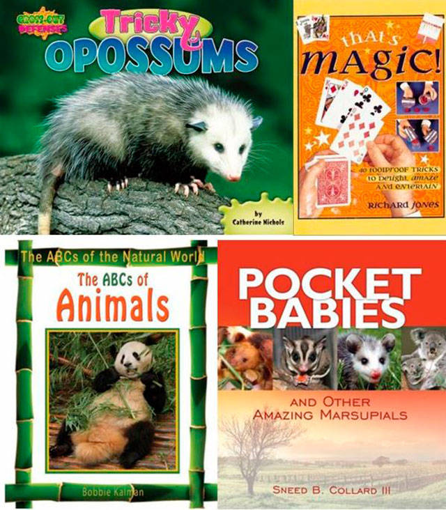 Some titles to help you learn more about possums, opossums, marsupials, ‘playing possum.’ (Everett Public Library image)