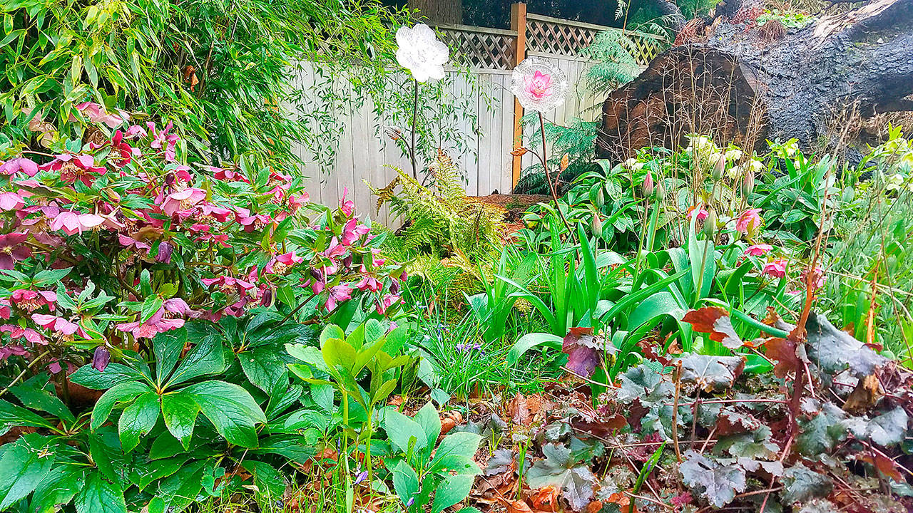 All that’s missing from this flower garden is a trendy chicken coop. (Photo by Jenny Bardsley)