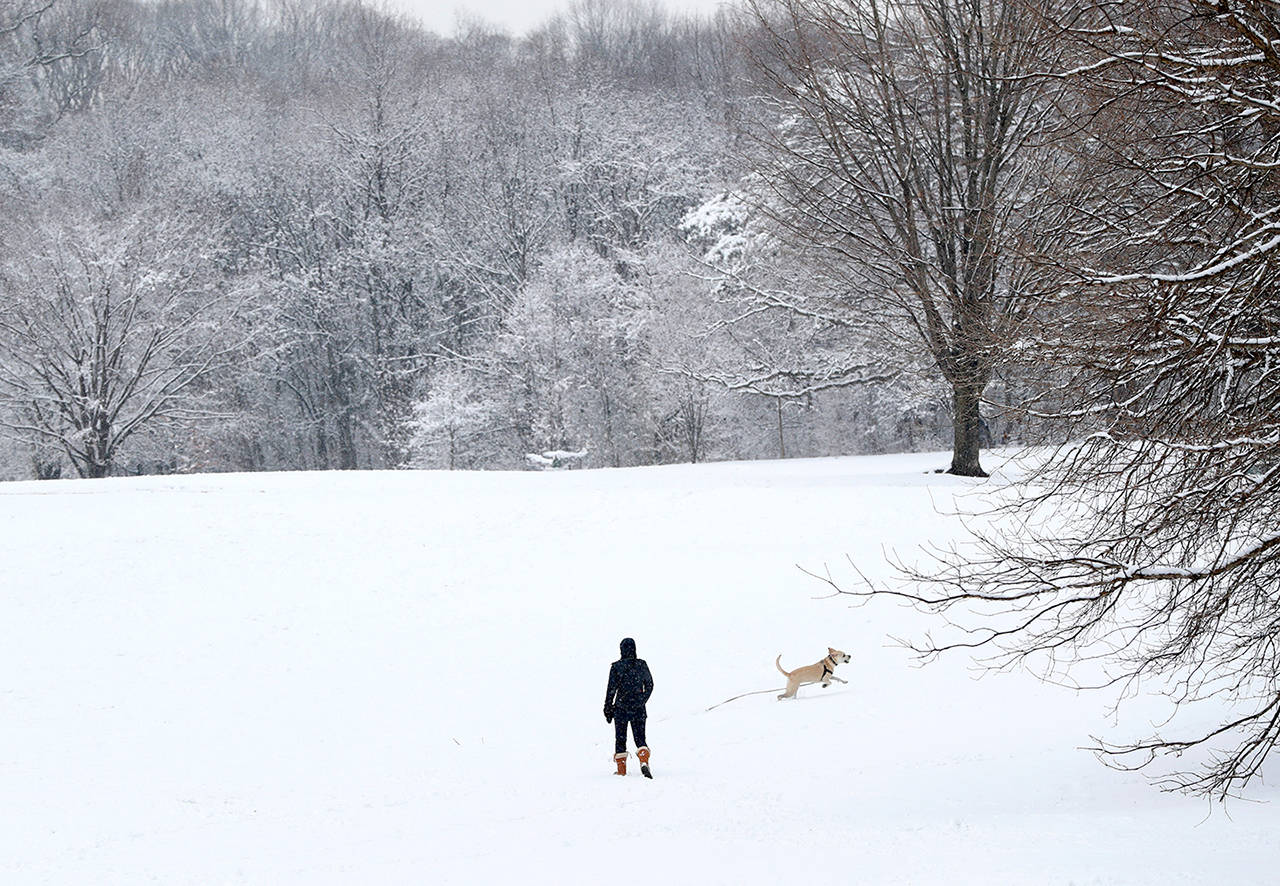 In this April 2 photo, a woman watches as her dog runs in a snowfall that blanketed Prospect Park in the Brooklyn borough of New York. (AP Photo/Kathy Willens, File)