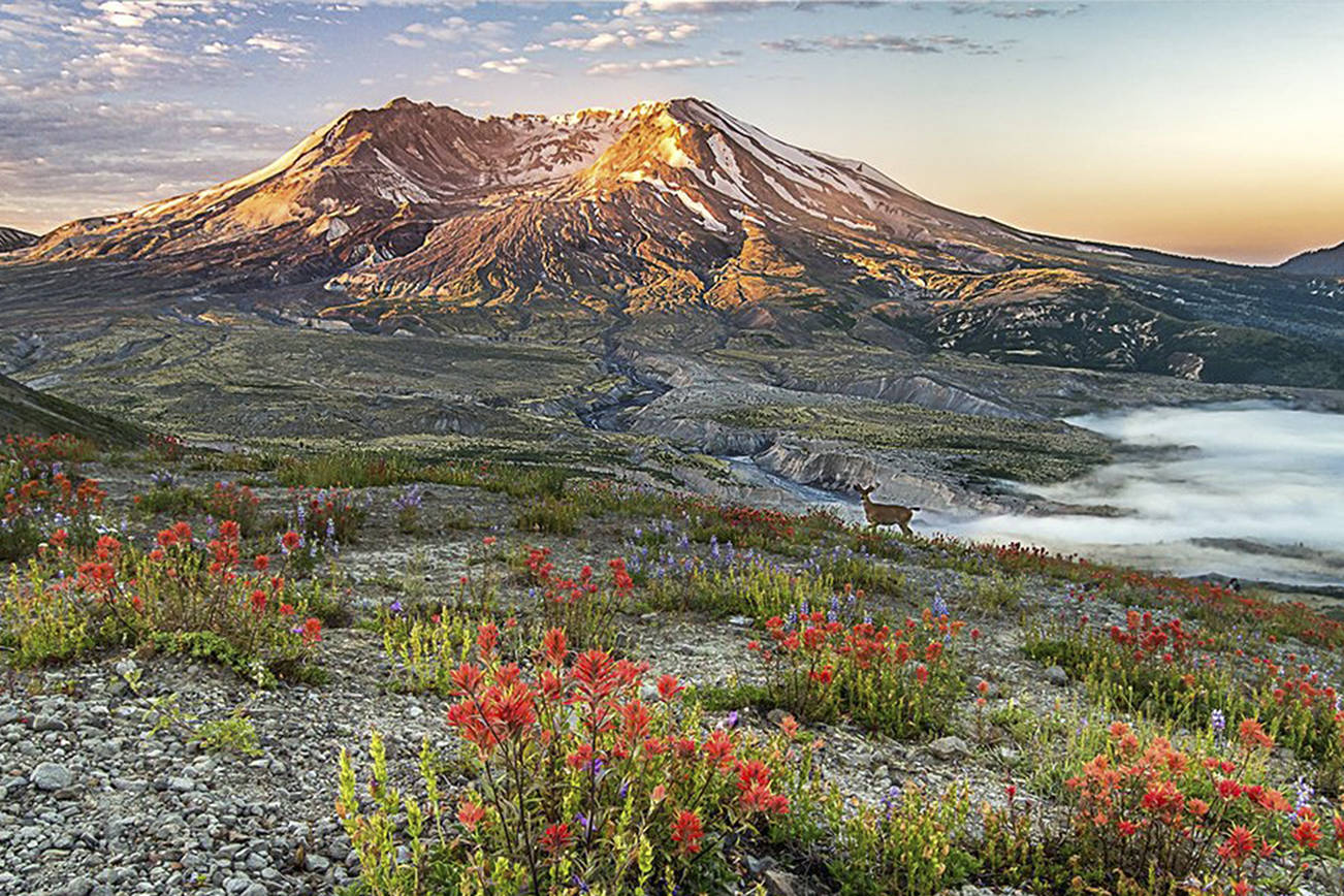 Stacey Arnold: Hiking photographer