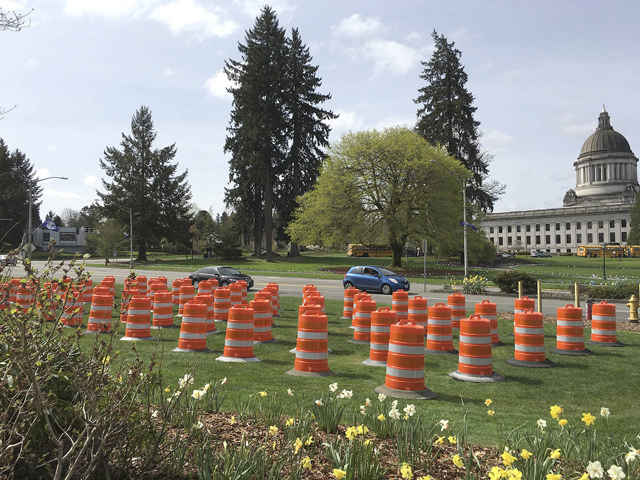 Orange work zone barrels fill a lawn near the capital in Olympia on April 9 to kick off National Work Zone Awareness Week. In all, 60 barrels were placed on the lawn, representing the 60 WSDOT workers killed on the job since 1950. (WSDOT photo)