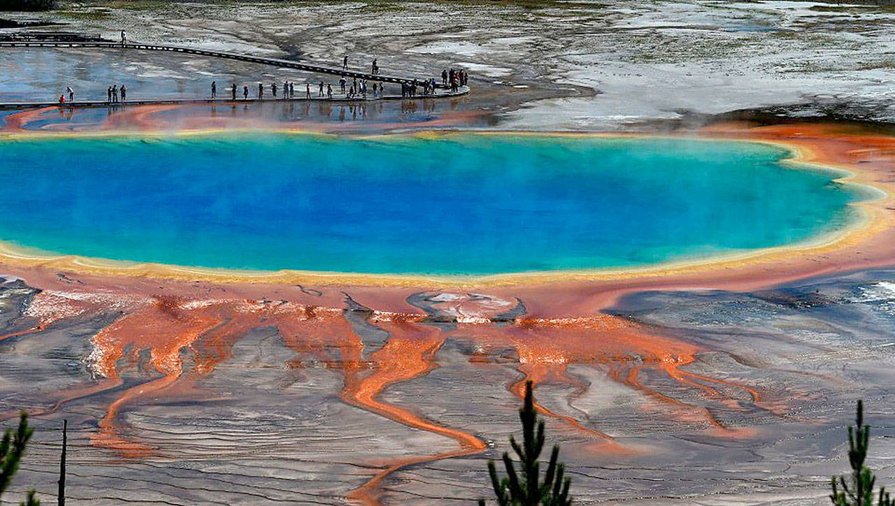 A caldera-forming volcano supplies the heat for the hydrothermal features in Yellowstone National Park. (Jonathan Newton/Washington Post)