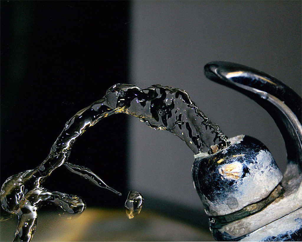 Lillian Castanera, Stanwood High School, was a winner in the 2018 Snohomish County PUD “Energy in Action” Photography Contest. (Contributed)
