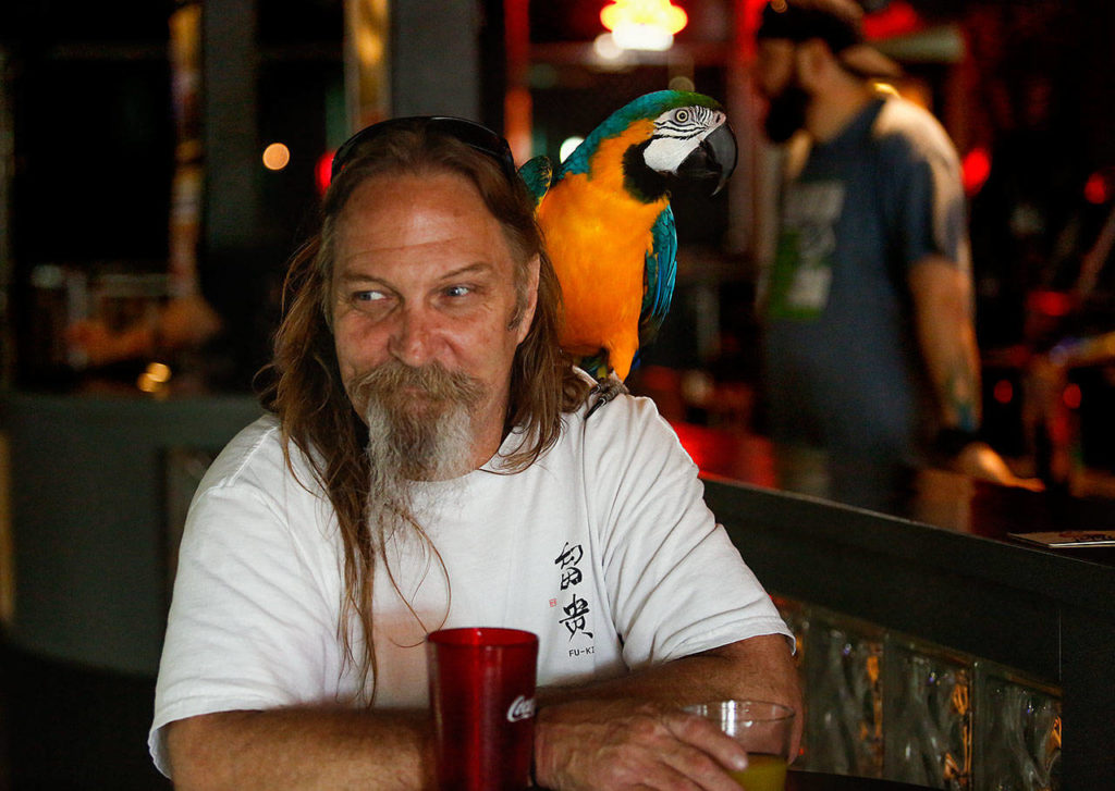 At Tony V’s Garage, Rod Shafer watches his young neighbor, Jaydyn Harn, 11, practice shooting pool while he sips root beer and keeps a glass of pineapple juice in the other hand for Sally. (Dan Bates / The Herald)
