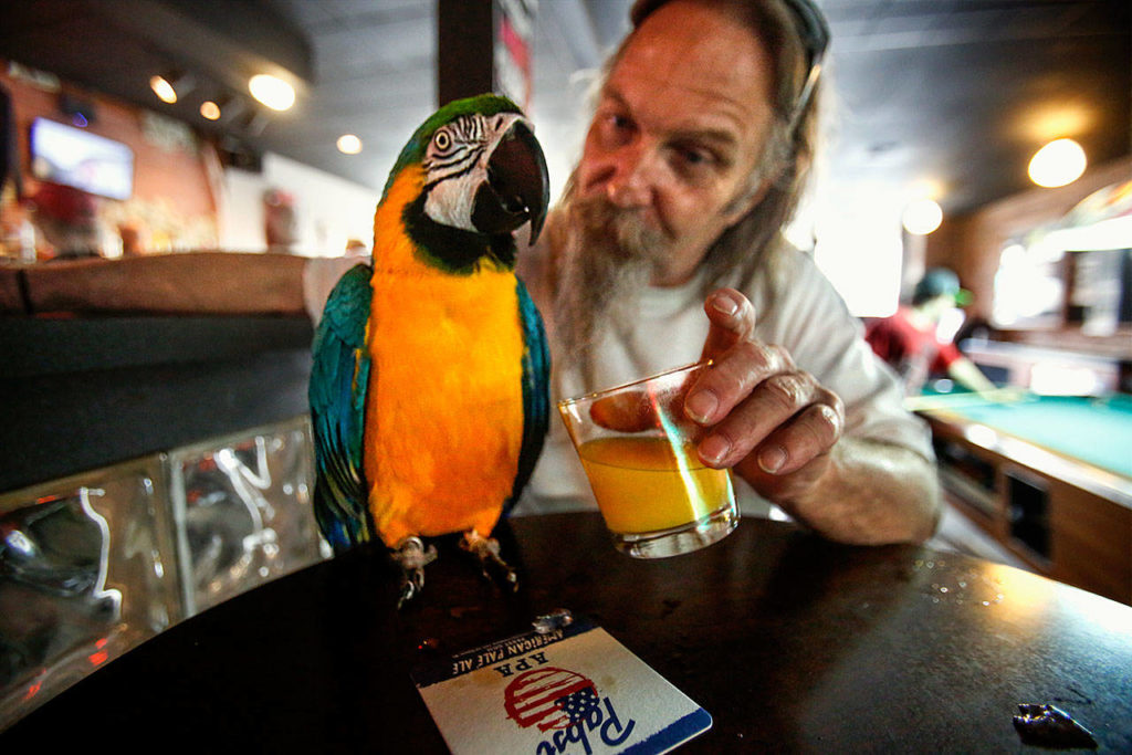 At Tony V’s Garage, Rod Shafer, who has given up alcohol, offers Sally a little more pineapple juice in her own glass, but she is holding out for another cube of ice from his root beer, which he is holding far away as possible with his other hand.
