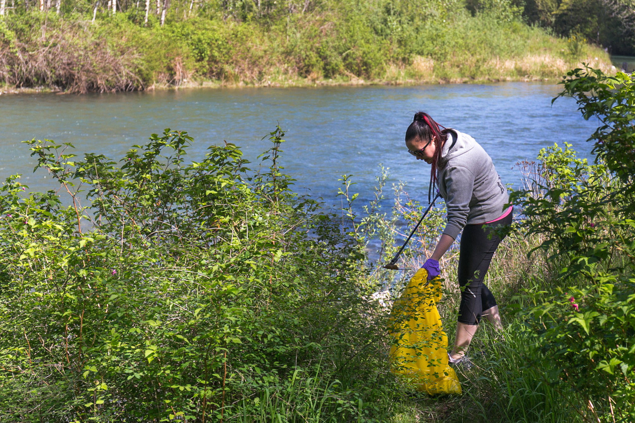 Jackie Oakland gathers trash after her Pokemon Go Raid Battles on May 5 at Osprey Park in Sultan. (Kevin Clark / The Herald)