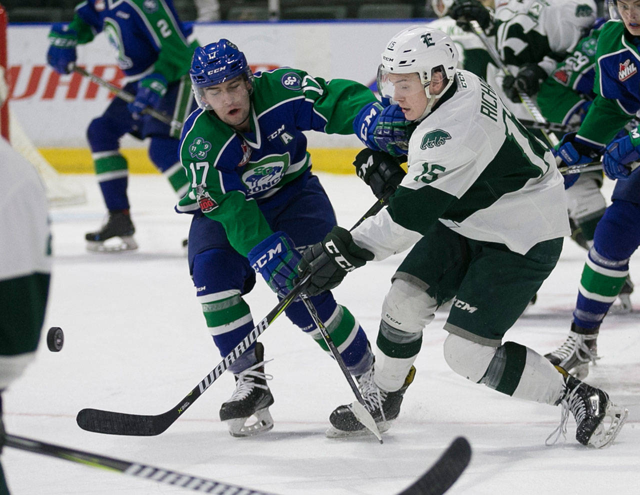 Swift Current’s Tyler Steenbergen (left) and Everett’s Sean Richards battle for control of the puck during a game on Jan. 21, 2018, at Angel of the Winds Arena in Everett. The Silvertips won 4-1 in the only meeting between the two teams in the regular season. (Kevin Clark / The Herald)
