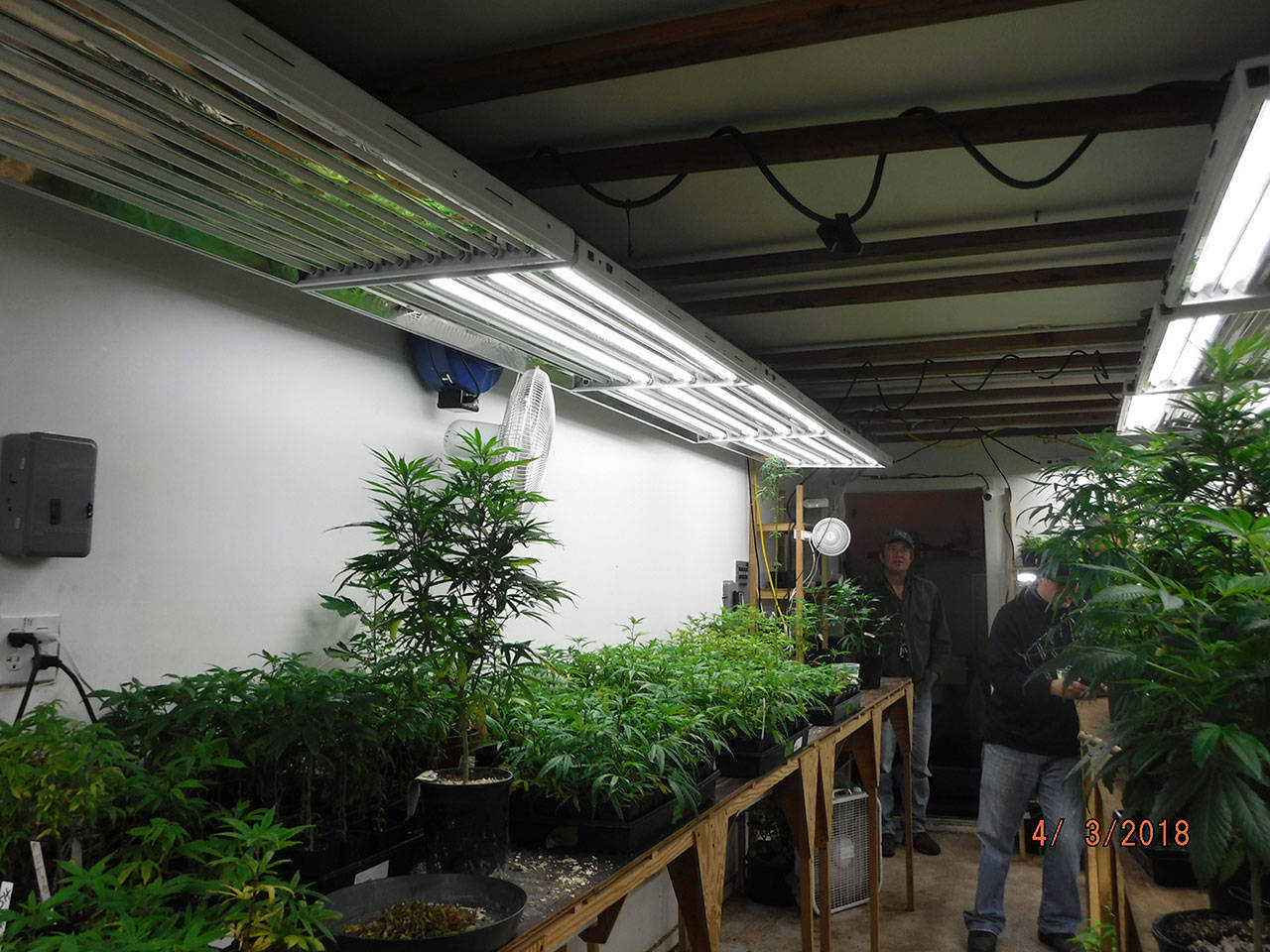 This photograph shows inside Cascade Herbals where extension cords and power strips reportedly were being used in place of approved wiring. (City of Everett)