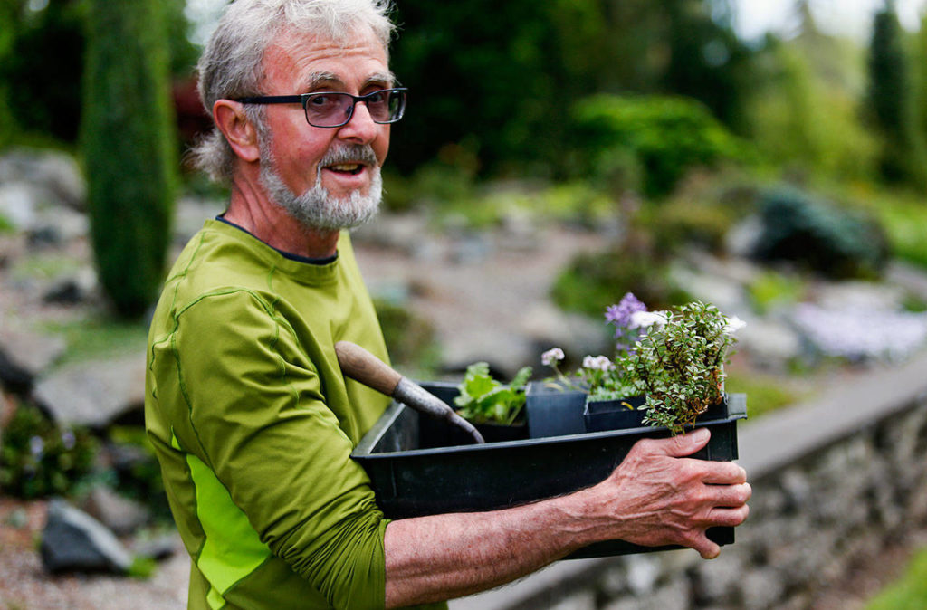 Ted Milam brought a few starts along for the rock garden he designed at the Everett Arboretum. (Dan Bates / The Herald)
