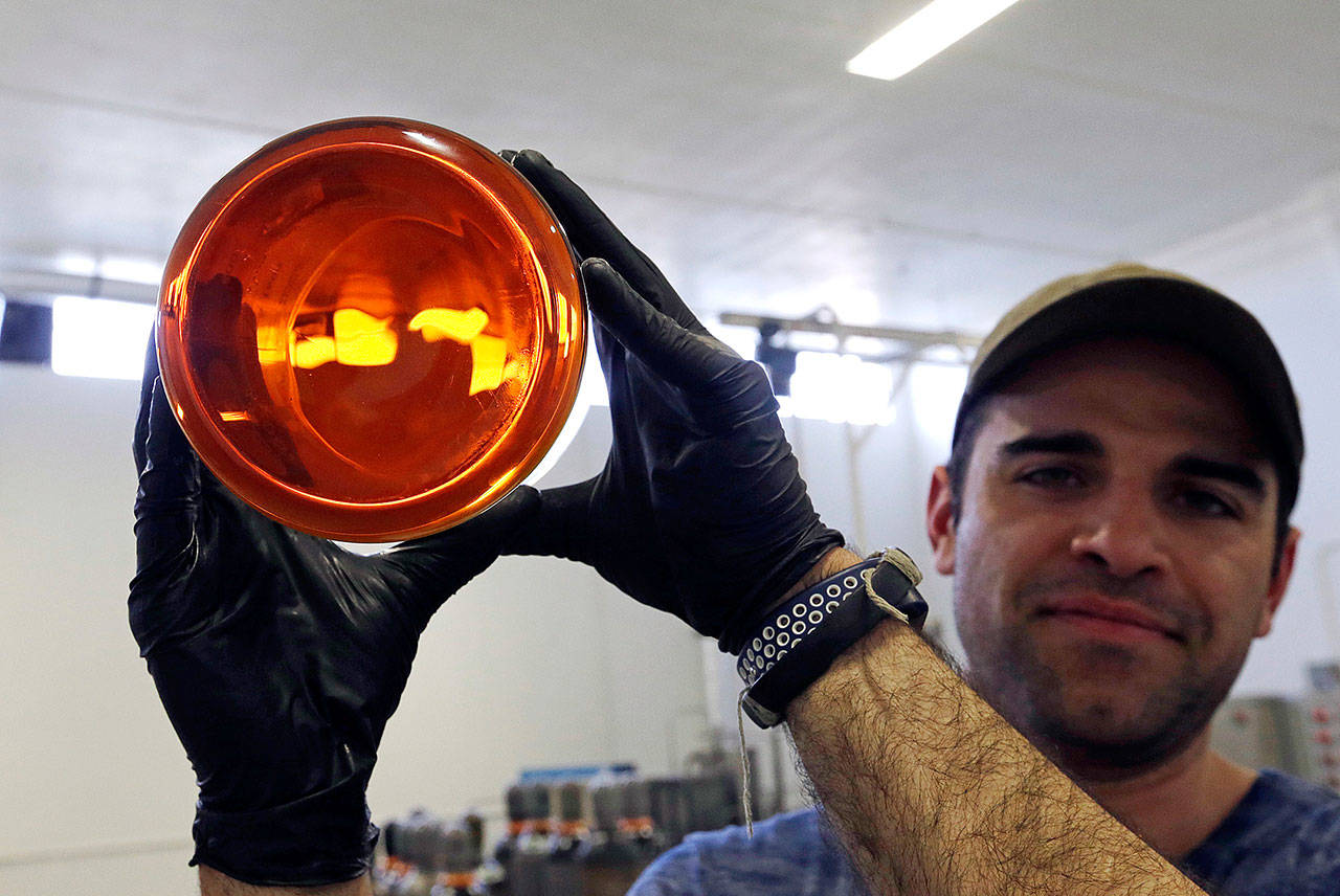 Julian Cabrera, factory manager at New Earth Biosciences, holds up a large glass beaker to the light containing thick, golden-colored, fully refined CBD oil in Salem, Oregon, on April 24. Applications for state licenses to grow hemp, marijuana’s non-intoxicating cousin, have increased more than twentyfold since 2015 and Oregon now ranks No. 2 behind Colorado among the 19 states with hemp cultivation. (AP Photo/Don Ryan)