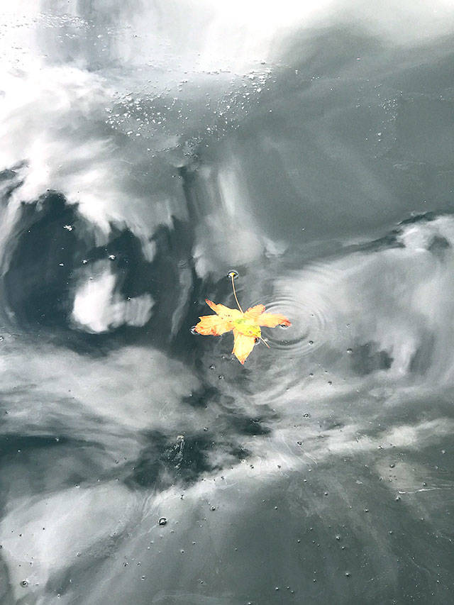 By Debbie Heathers-Stiteler, November 2017: She took the picture from her boat, the Freja, with an iPhone. “I was walking on the dock at Poulsbo Marina. A single leaf floated in Liberty Bay. What was most remarkable was the reflection of the clouds overhead.”