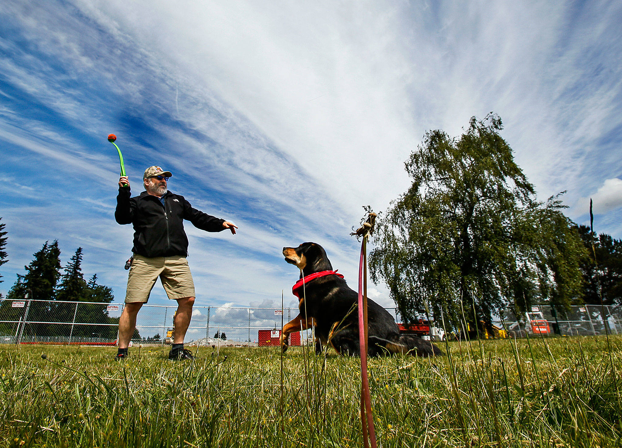 On the city of Everett’s newest park land, located immediately south of the fenced construction site for the new YMCA, Gary Nelson, of Everett, tosses a ball for his dog, Charlie, 3, Tuesday. (Dan Bates / The Herald)