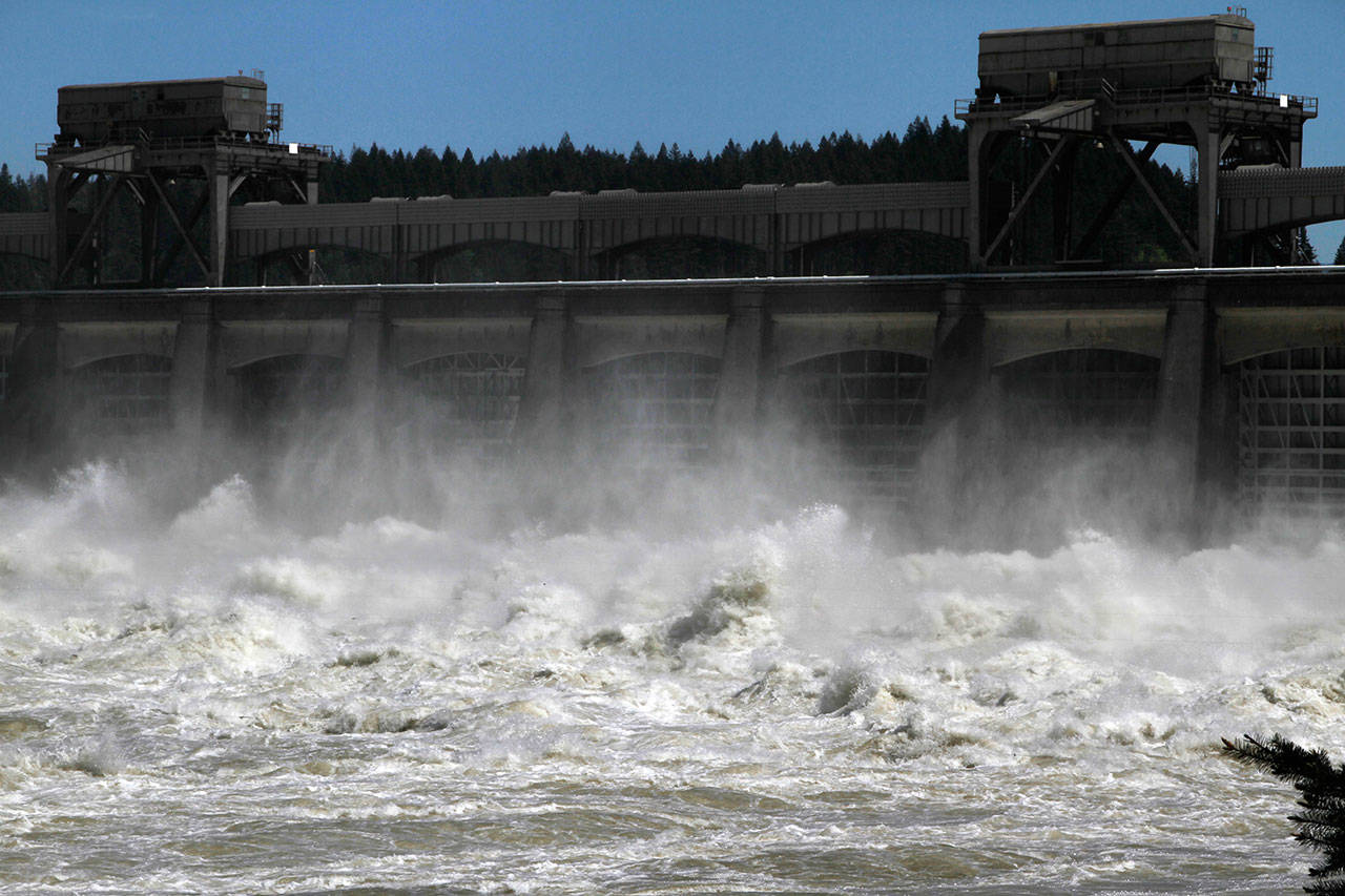 Heavy spring runoff waters boil and churn as they pass through the spillways at Bonneville Dam near Cascade Locks, Oregon, on the Columbia River, in May, 2011. The Trump administration has dropped a proposal to sell off the Bonneville Power Administration, which provides electricity to public utilities and other customers in the Northwest. (Don Ryan/Associated Press file photo)