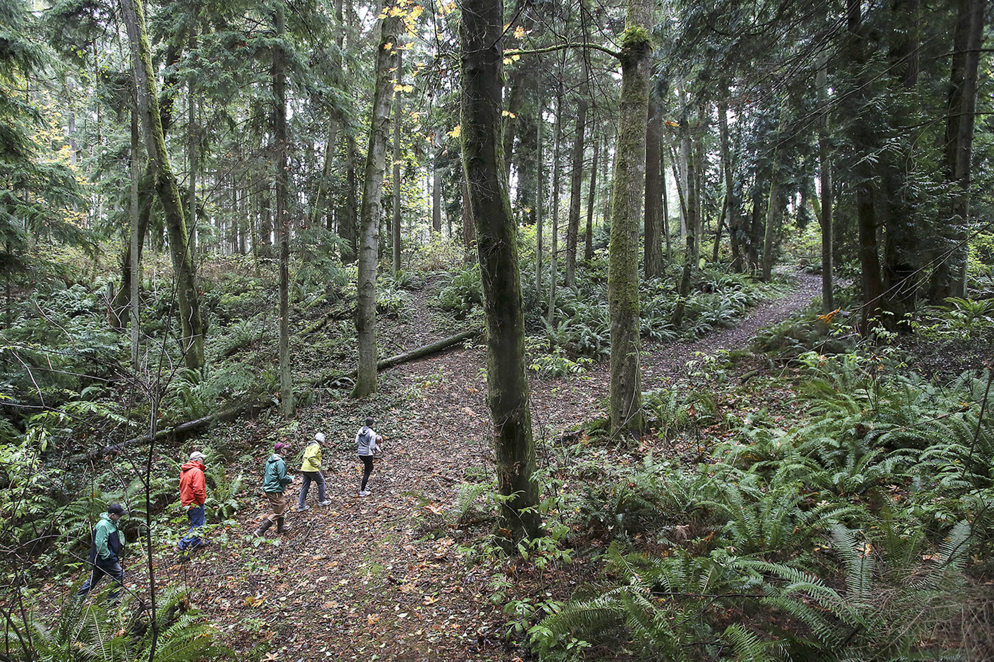Kevin Clark / Herald file                                Joseph Cospito (left), Gregg Lungren, Todd Zackey, Joan Smith and Emily Mydynski make their way out of a ravine Nov. 6, 2015, after giving Zackey a tour of a proposed 112-home development.