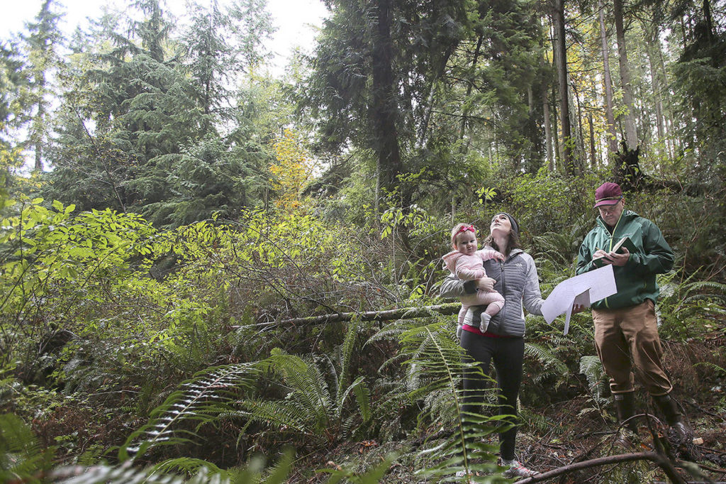 Emily Mydynski, holding Debbie Wood, and Todd Zackey discuss the proposal land use and effects in Edmonds on Nov. 6, 2015. (Kevin Clark / Herald file)
