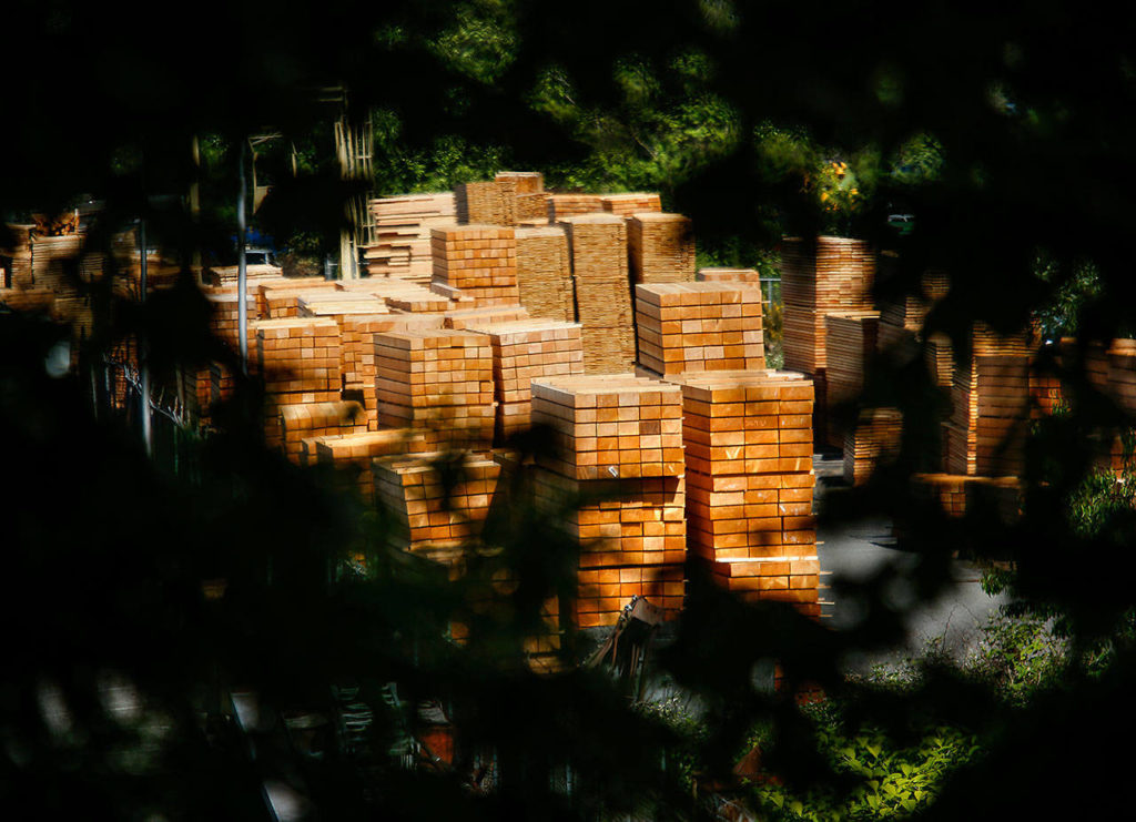 Not far from the End of the Mill Town Trail sign, a hole in the woods reveals the work of Canyon Lumber. (Dan Bates / The Herald)
