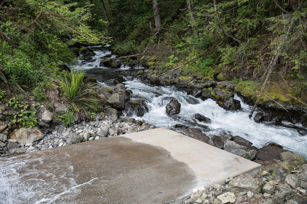 After producing power, water is returned to Calligan Creek. The project is located in King County. (Lizz Giordano / The Herald)
