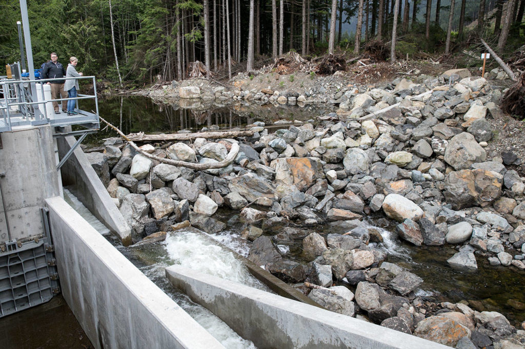 Hancock Creek Hydro Project, located in King County, intake area has a fish ladder and weir to support the resident trout. (Lizz Giordano / The Herald)
