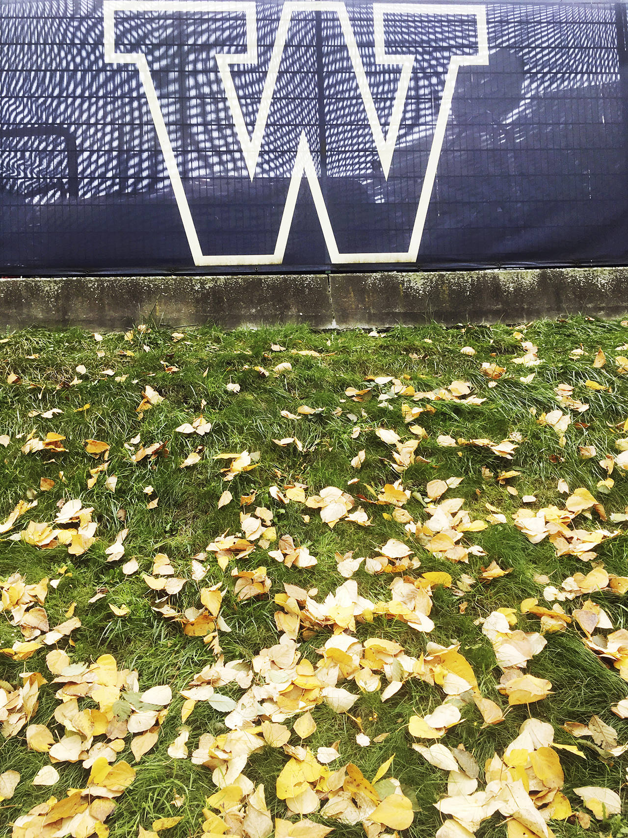 This photo shows the University of Washington campus in Seattle in the fall of 2017, when tuition was $218 cheaper. (Sue Misao / Herald file)