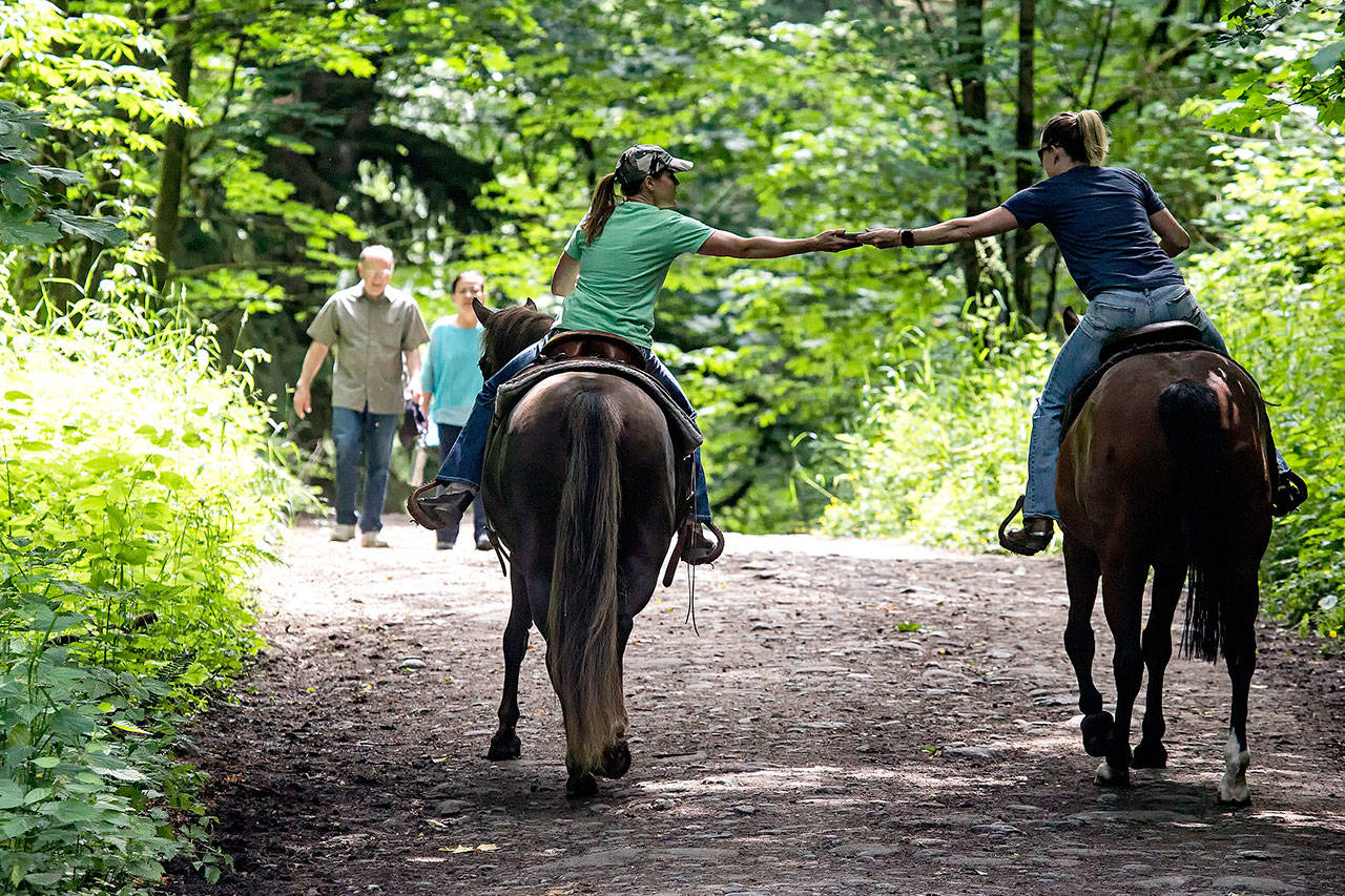 A horse rider hands off a cellphone to another rider as they head out on a trail at Lord Hill Park in Snohomish on June 16. (Andy Bronson / The Herald)