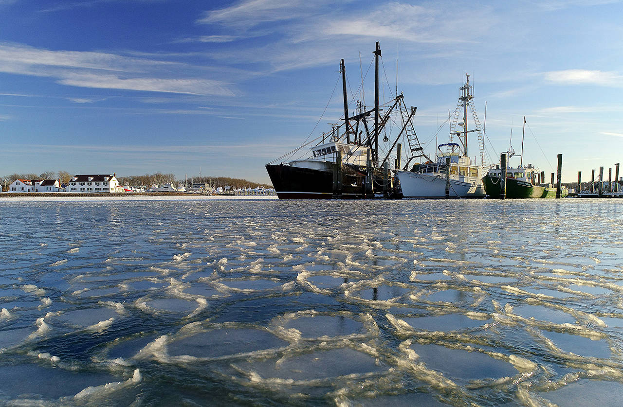 Surrounded by ice, commercial fishing boats are docked in their slips after more than a week’s worth of frigid weather froze the harbor in Lake Montauk in Montauk, New York, on Jan. 7. Only a few commercial boats remain in Montauk harbor during the winter months fishing for species such as porgy, tilefish, monkfish and black sea bass. (AP Photo/Julie Jacobson, file)
