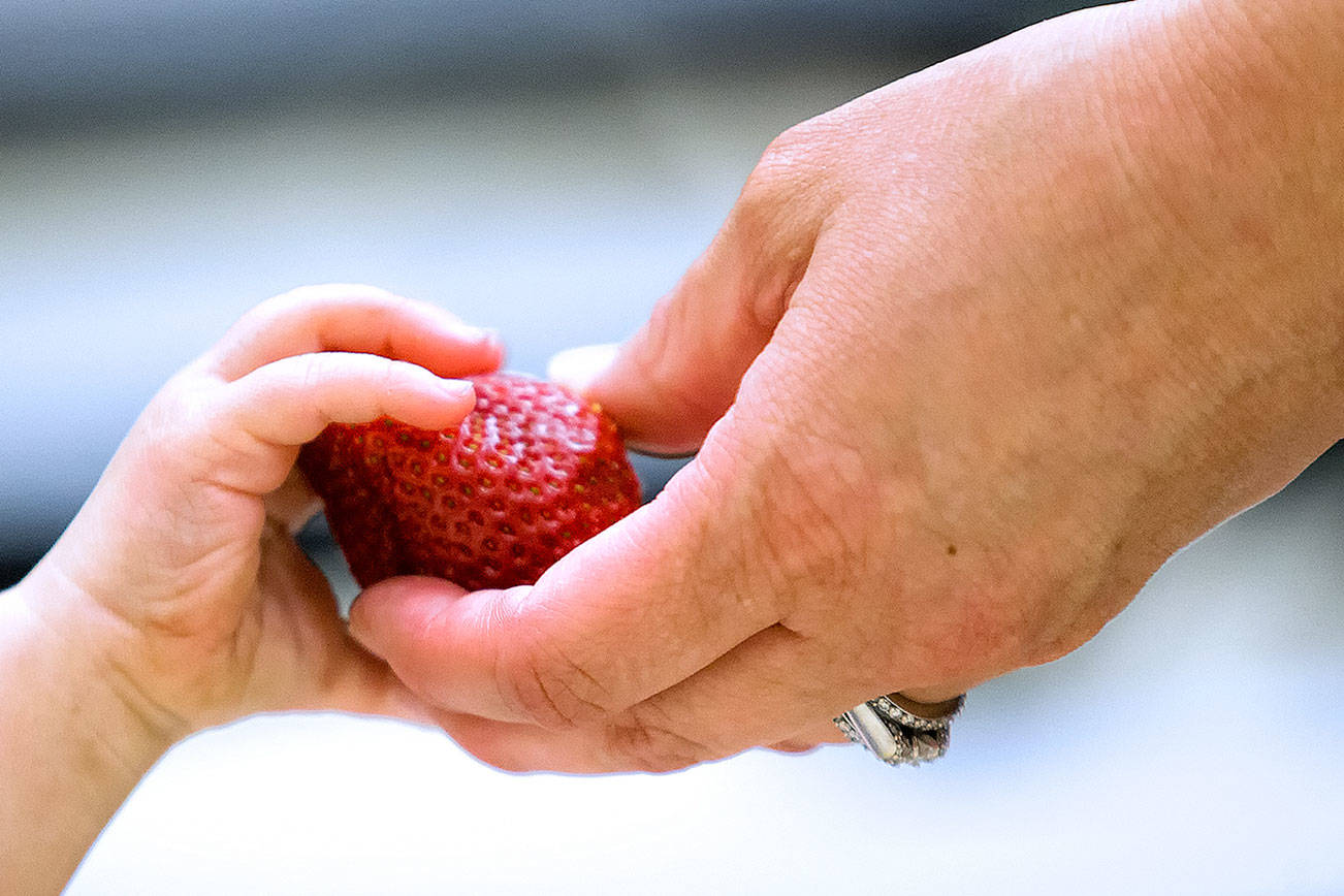 A mother hands her child a strawberry as families with children and teens eat at the Summer Free Lunch Program in the cafeteria at Sunnycrest Elementary on Wednesday, June 20, 2018 in Lake Stevens, Wa. This is the seventh summer of free lunches in Lake Stevens and the second at Sunnycrest.(Andy Bronson / The Herald)